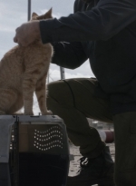ftwd504_0037.jpg