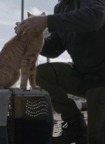 ftwd504_0038.jpg