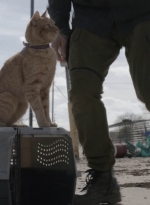 ftwd504_0039.jpg