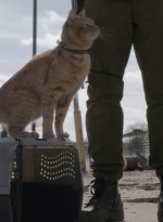ftwd504_0040.jpg