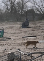 ftwd504_0043.jpg