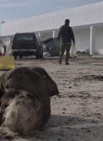 ftwd504_0063.jpg