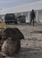 ftwd504_0064.jpg