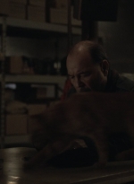 ftwd504_0249.jpg