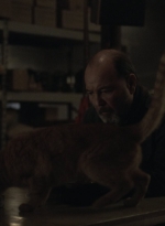 ftwd504_0250.jpg