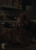 ftwd504_0252.jpg