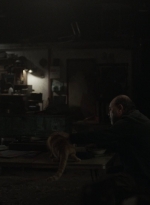 ftwd504_0272.jpg