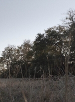 ftwd504_0848.jpg