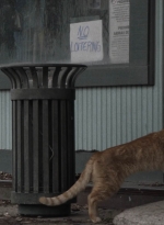 ftwd504_1110.jpg