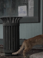 ftwd504_1114.jpg