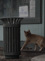 ftwd504_1115.jpg