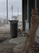 ftwd504_1262.jpg
