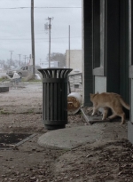 ftwd504_1288.jpg
