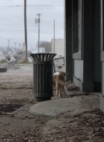 ftwd504_1289.jpg