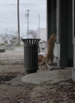 ftwd504_1290.jpg