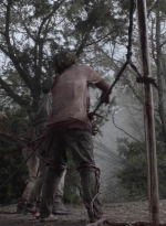ftwd504_1490.jpg