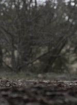 ftwd504_1496.jpg