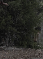 ftwd504_1503.jpg