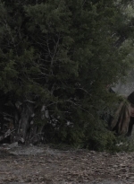 ftwd504_1504.jpg