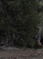 ftwd504_1505.jpg