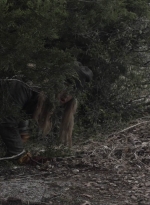 ftwd504_1507.jpg