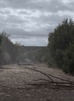 ftwd504_1509.jpg