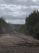 ftwd504_1511.jpg