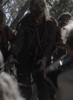ftwd504_1902.jpg