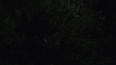 ftwd505_0072.jpg