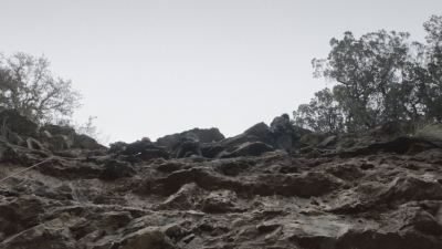Click to view full size image
==============
ftwd505_1272.jpg ftwd505_1272.jpg