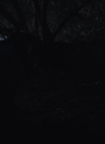 ftwd505_0078.jpg