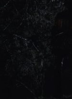 ftwd505_0090.jpg