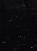 ftwd505_0128.jpg