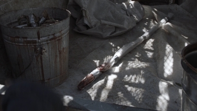 ftwd506_2115.jpg
