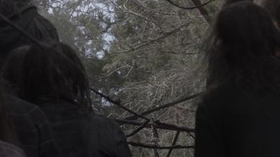 ftwd506_2584.jpg