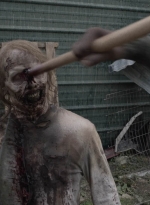 ftwd506_0773.jpg