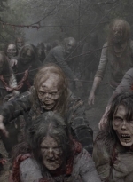 ftwd506_2602.jpg