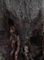 ftwd506_2607.jpg
