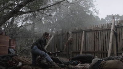 ftwd507_1896.jpg