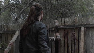 ftwd507_2001.jpg