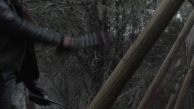 ftwd507_2080.jpg