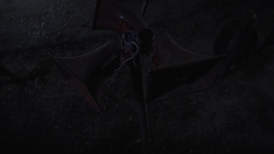 ftwd507_2575.jpg
