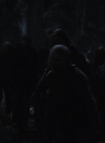 ftwd507_2302.jpg
