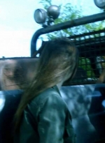 ftwd509_0480.jpg