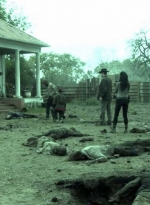 ftwd509_1447.jpg