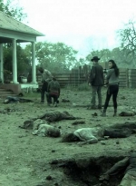 ftwd509_1449.jpg