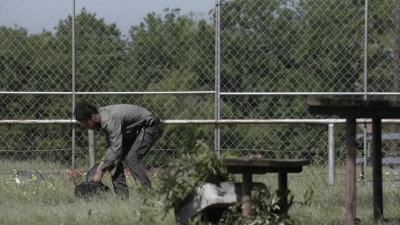 ftwd511_1538.jpg