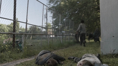ftwd511_1560.jpg