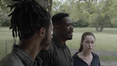 ftwd511_1780.jpg
