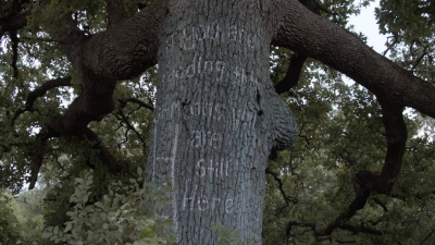 ftwd511_2055.jpg